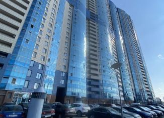 Продается квартира студия, 24.8 м2, Санкт-Петербург, проспект Обуховской Обороны, 138к2, метро Рыбацкое