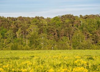 Продается земельный участок, 36 сот., деревня Раздоры