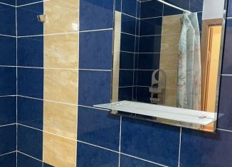 Сдаю квартиру студию, 24 м2, деревня Новое Девяткино, Капральская улица, 15, ЖК Озёрный