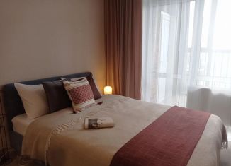 Сдаю в аренду квартиру студию, 25.8 м2, Пермь, улица Героев Хасана, 93А