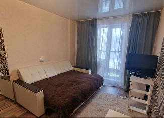 Сдам в аренду квартиру студию, 27 м2, Новосибирск, улица Ясный Берег, 10, Ленинский район