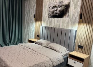 Сдается однокомнатная квартира, 50 м2, Пятигорск, улица Пестова, 5