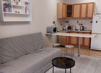 Сдается квартира студия, 28 м2, Омск, улица Перелёта