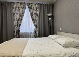 Сдается в аренду 1-комнатная квартира, 30 м2, Карелия, улица Победы, 5