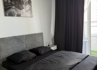 Сдам 1-ком. квартиру, 38 м2, Краснодар, Воронежская улица, микрорайон Черемушки