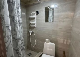 Сдам в аренду комнату, 16 м2, поселок городского типа Заозерное, улица Чкалова, 1