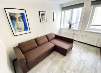 Сдается квартира студия, 29.1 м2, посёлок Парголово, улица Михаила Дудина