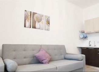 Продается квартира студия, 19.7 м2, Мурино, Воронцовский бульвар, 21к3, ЖК Мой Мир