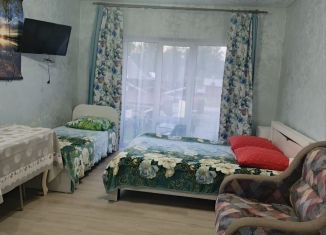 Сдача в аренду дома, 58 м2, Республика Алтай, Цветочная улица, 24