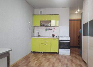 Продается квартира студия, 21.9 м2, деревня Хохряки, Тепличная улица, 30