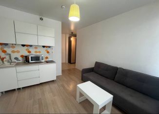 Аренда квартиры студии, 22 м2, Москва, Цимлянская улица, 3к1, ЖК Влюблино