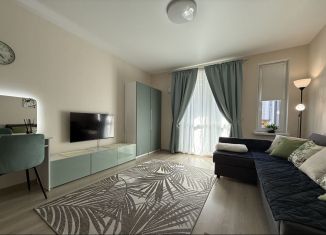 Квартира в аренду студия, 30.8 м2, Петрозаводск, проезд Владимира Баскова, 2