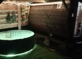 Дом в аренду, 30 м2, Пермь, СНТ № 5, 38