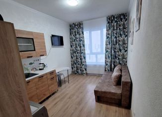 Квартира в аренду студия, 22 м2, Ярославль, Шандорная улица, 14