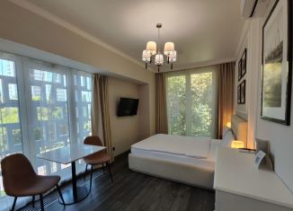 Продаю квартиру студию, 22.2 м2, Сочи, Курортный проспект, 70