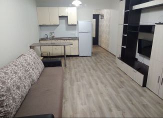 Сдам квартиру студию, 27 м2, Пермь, улица Вильямса, ЖК Журавли