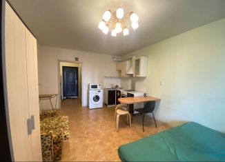 Сдается в аренду квартира студия, 25 м2, Мурино, проспект Авиаторов Балтики, 9к2, ЖК Виктория