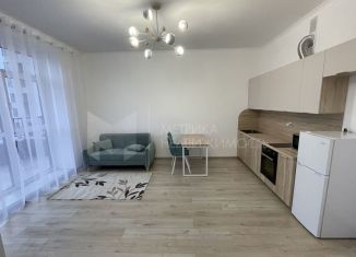 Продам однокомнатную квартиру, 45.5 м2, деревня Дударева, Тюменская улица, 1к1