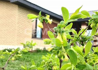 Дом на продажу, 80 м2, деревня Русский Вожой, улица Свободы