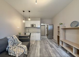 Продается квартира студия, 24.9 м2, Мурино, Воронцовский бульвар, 16к1, ЖК Краски Лета