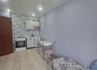 Сдача в аренду 1-комнатной квартиры, 31.2 м2, Сыктывкар, улица Мира, 11, Эжвинский район