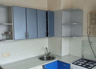 1-ком. квартира в аренду, 31 м2, Липецк, проспект Мира, 11, Левобережный район