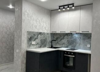 Продается однокомнатная квартира, 42 м2, Мурино, улица Шувалова