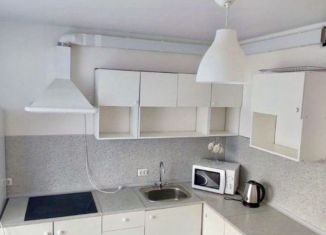 1-ком. квартира в аренду, 33 м2, деревня Новое Девяткино, Главная улица, 12