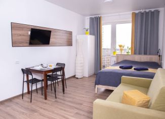 Сдача в аренду квартиры студии, 27 м2, Владимир, улица Крайнова, 4