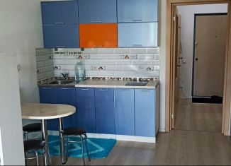 Квартира в аренду студия, 29 м2, Екатеринбург, улица Данилы Зверева, 5А, ЖК Цветной Бульвар