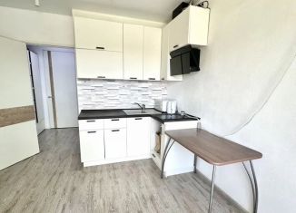 Продается квартира студия, 21.8 м2, село Новое Шигалеево, улица Габдуллы Тукая, 4