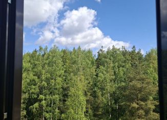 Продаю квартиру студию, 20 м2, Ломоносов, Михайловская улица, 51