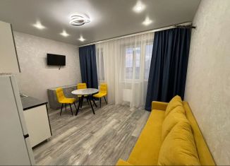 Квартира в аренду студия, 25 м2, Краснодар, Колхозная улица, 5/2к2, ЖК Все Свои