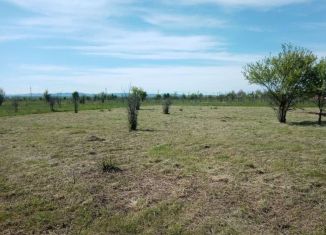 Продам земельный участок, 25 сот., станица Новодмитриевская, переулок Ленина