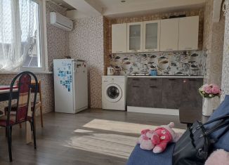 Квартира на продажу студия, 26 м2, село Краевско-Армянское, Измайловская улица, 59/6