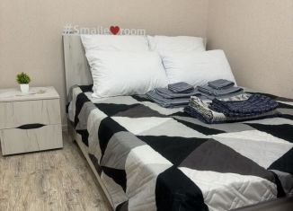 Сдача в аренду однокомнатной квартиры, 35 м2, деревня Куюки, улица 22-й Квартал