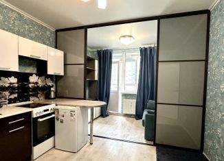 Квартира на продажу студия, 20.2 м2, Мурино, улица Шувалова, 19к2, ЖК Краски Лета