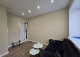 Продаю квартиру студию, 15.7 м2, Москва, 1-й Тверской-Ямской переулок, 14, 1-й Тверской-Ямской переулок