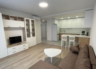 Сдам в аренду 1-ком. квартиру, 49.4 м2, Москва, ЮВАО, улица Михайлова, 30Ак6
