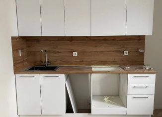 Продажа квартиры студии, 20.8 м2, Мурино, жилой комплекс Новые Лаврики, 1.1