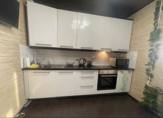 Аренда двухкомнатной квартиры, 52.1 м2, Санкт-Петербург, Морская набережная, 17к1