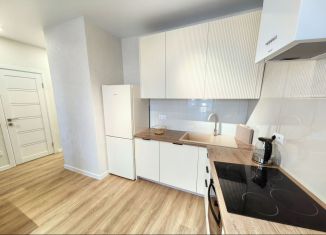 Сдаю однокомнатную квартиру, 45 м2, Краснодар, Колхозная улица, 5/2к1, микрорайон Табачная Фабрика