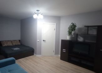 Сдаю 1-комнатную квартиру, 40 м2, посёлок железнодорожной станции Высокая Гора, Станционная улица, 8