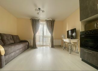 Аренда квартиры студии, 28 м2, Уфа, улица Героя Зорина, 3