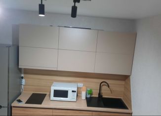 Сдается квартира студия, 33 м2, Майкоп, улица Олега Цокова, 4