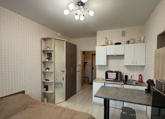 Продается квартира студия, 20.7 м2, Кудрово, Пражская улица, 15, ЖК Вернисаж