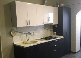 Сдается 1-ком. квартира, 42 м2, посёлок Берёзовый, Целиноградская улица, 4/2к2