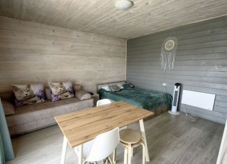 Дом в аренду, 20 м2, Республика Алтай, Молодёжная улица, 16