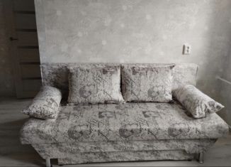 Сдается в аренду однокомнатная квартира, 30 м2, Тихвин, 1-й микрорайон, 12