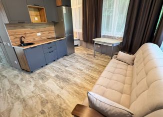 Продажа 1-комнатной квартиры, 30 м2, Сочи, улица Плеханова, 53/14А, микрорайон Мамайка